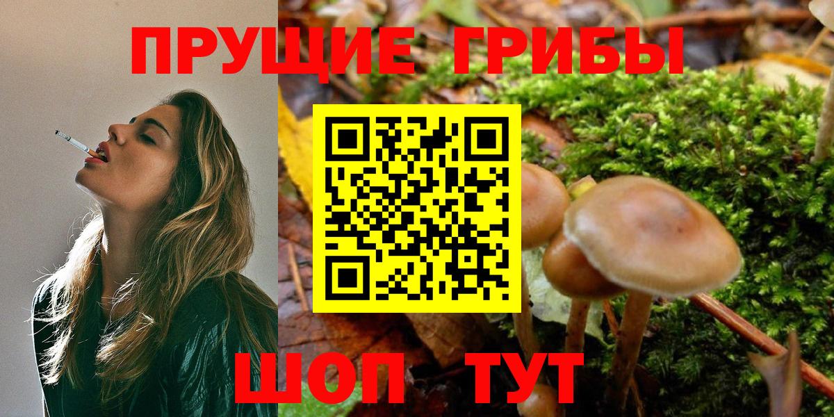 Псилоцибиновые грибы Psilocybine cubensis Костомукша